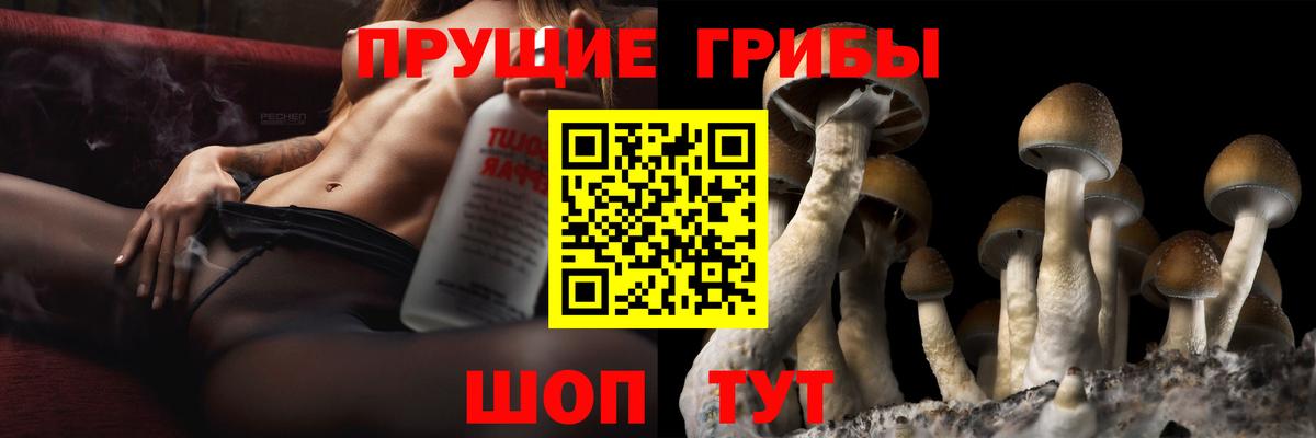 Псилоцибиновые грибы Луга